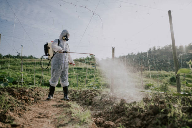 Best Commercial Pest Control Services  in Stone Ridge, NY
