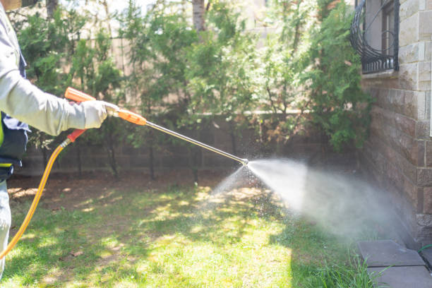 Best Termite Control Services  in Stone Ridge, NY